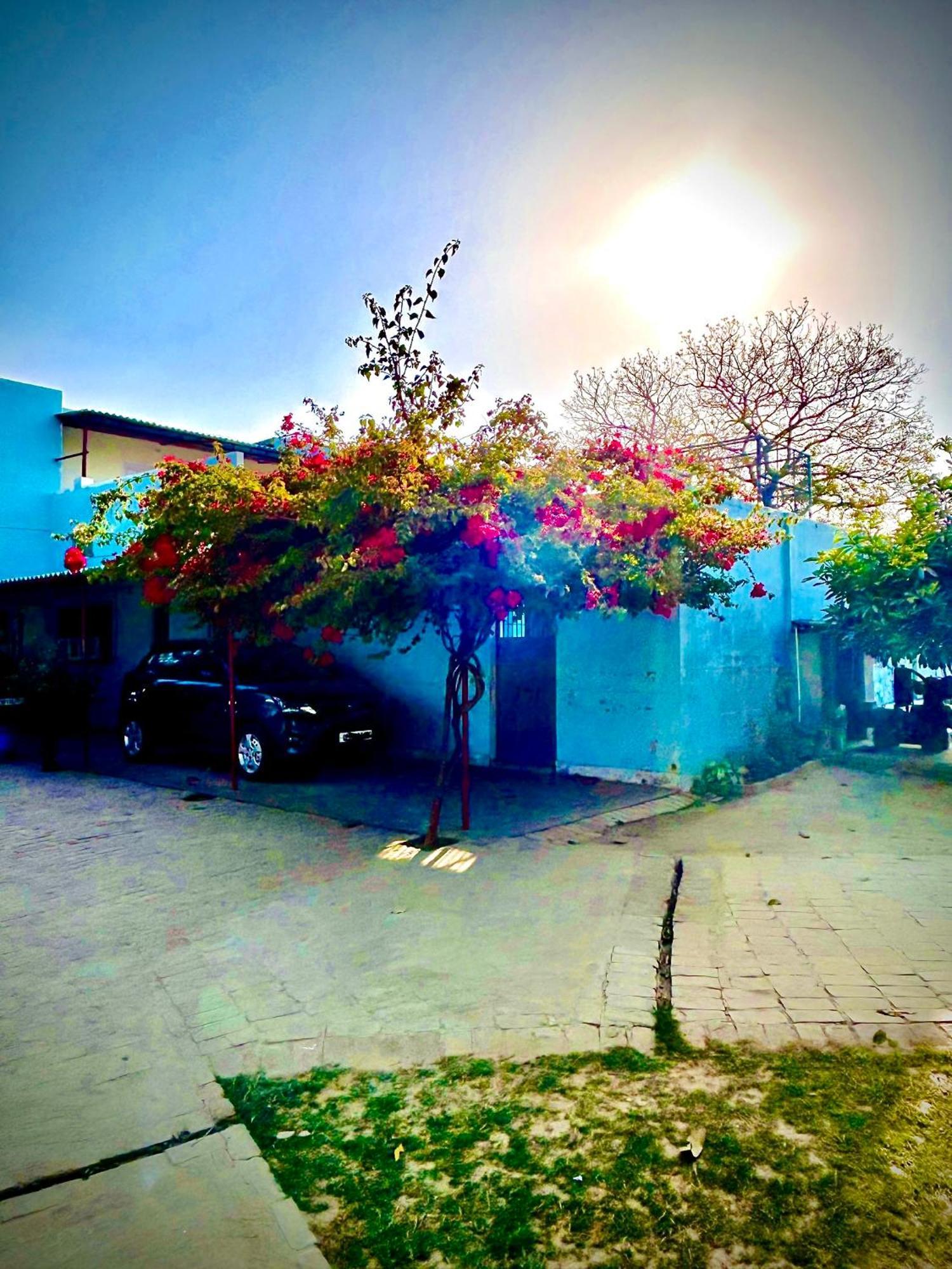 فيلا Gooseberry Garden Ayodhya المظهر الخارجي الصورة